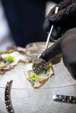 Baku Caviar - Osetra - Caspian Sturgeon Black Caviar
